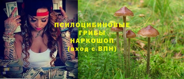 наркотики Бородино