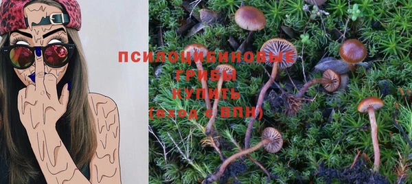наркотики Бородино