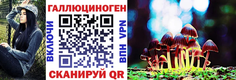 что такое   Межгорье  Галлюциногенные грибы Cubensis 
